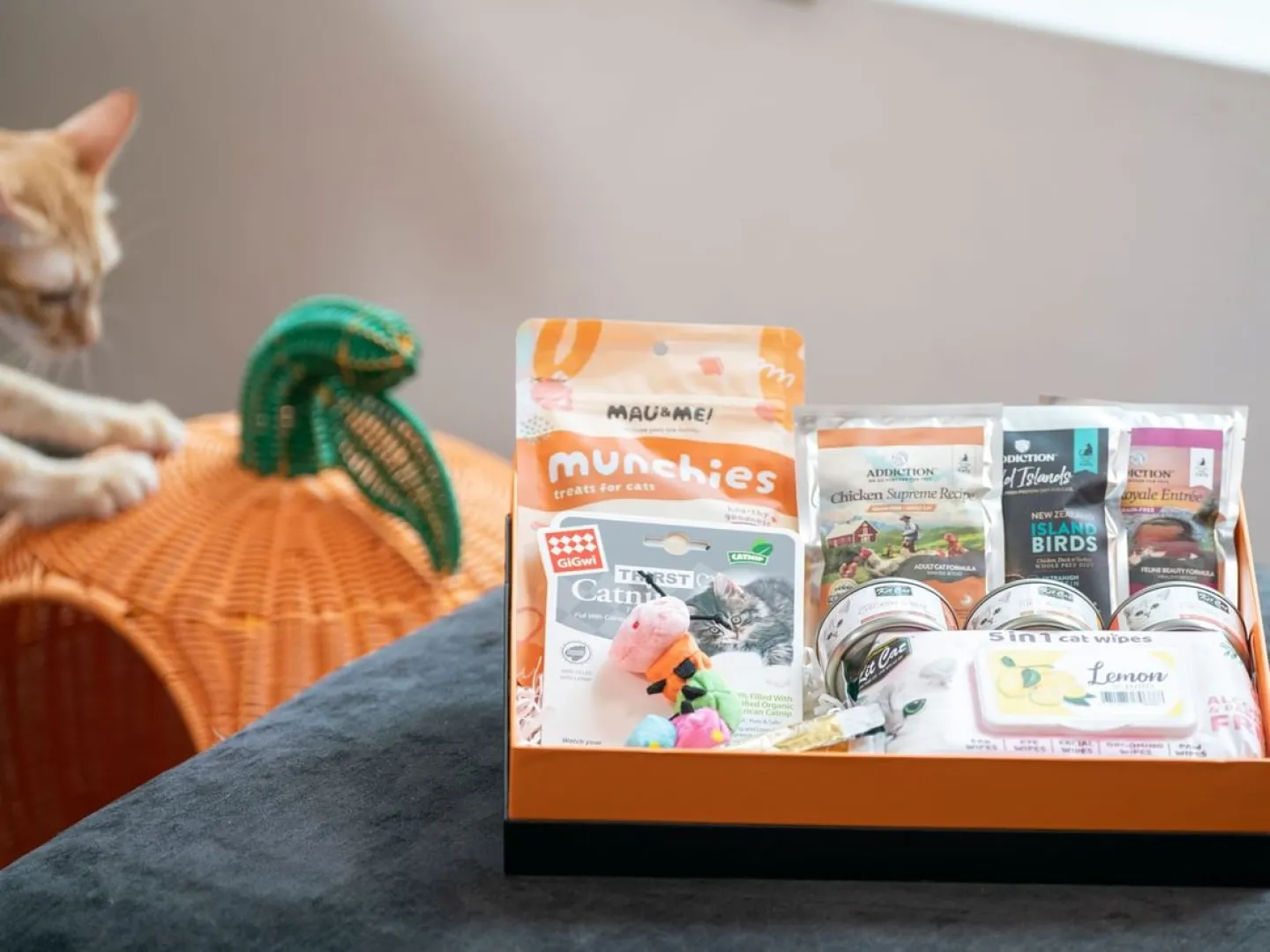 ニャンコのご飯